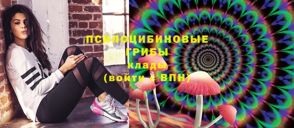 крисы Покровск