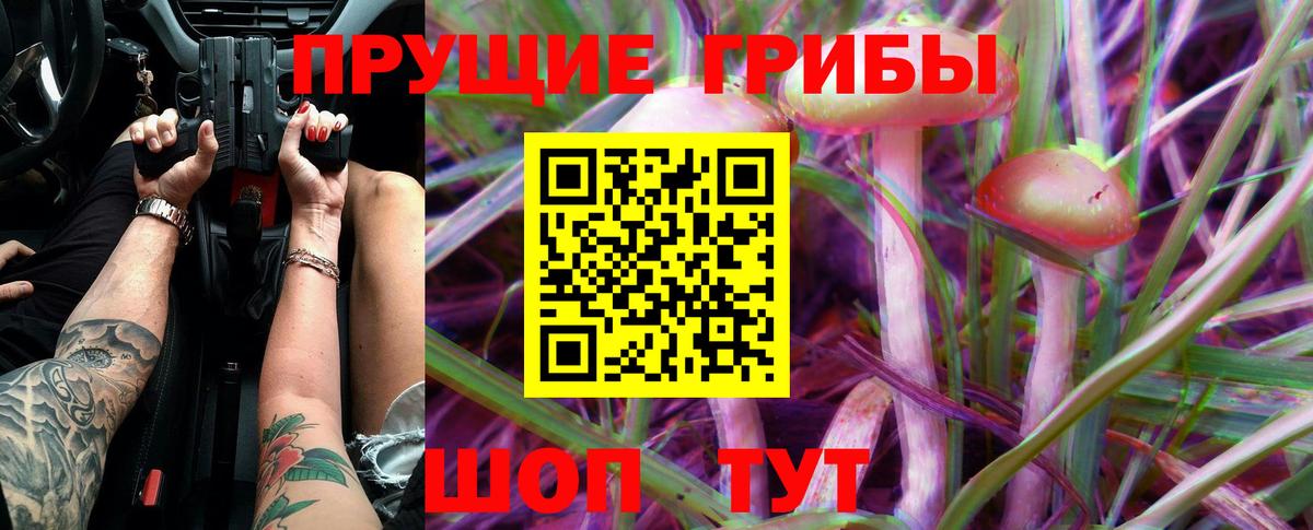 Псилоцибиновые грибы MAGIC MUSHROOMS  Вход с VPN  Галлюциногенные грибы Psilocybe  как найти наркотики  Сафоново 
