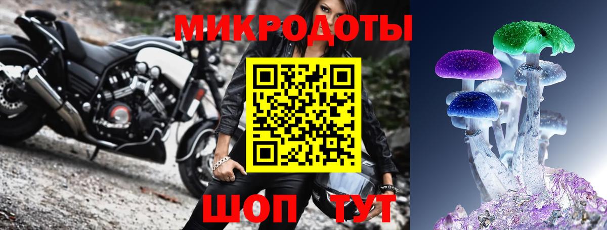 Псилоцибиновые грибы Psilocybine cubensis Сафоново